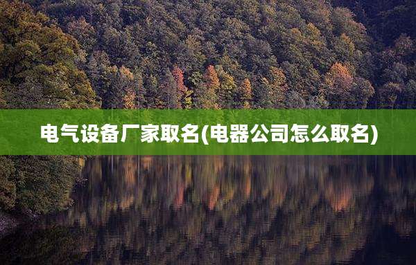电气设备厂家取名(电器公司怎么取名)