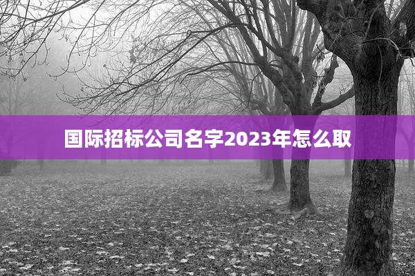 国际招标公司名字2023年怎么取