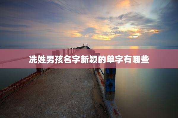 冼姓男孩名字新颖的单字有哪些