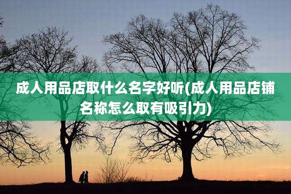 成人用品店取什么名字好听(成人用品店铺名称怎么取有吸引力)