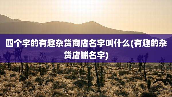 四个字的有趣杂货商店名字叫什么(有趣的杂货店铺名字)