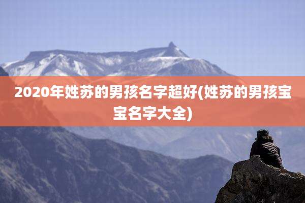 2020年姓苏的男孩名字超好(姓苏的男孩宝宝名字大全)