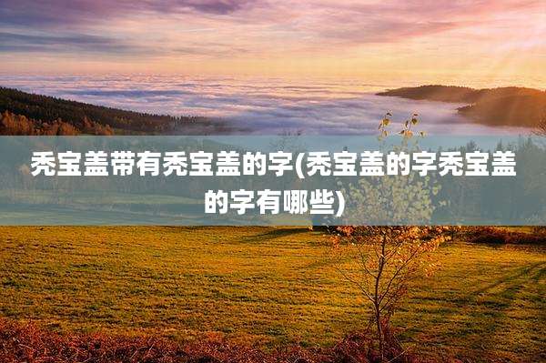 秃宝盖带有秃宝盖的字(秃宝盖的字秃宝盖的字有哪些)