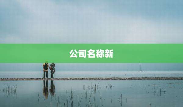 公司名称新
