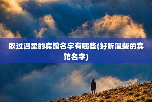 取过温柔的宾馆名字有哪些(好听温馨的宾馆名字)