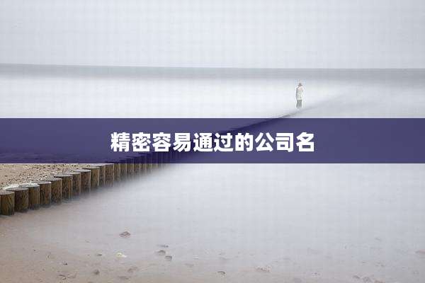 精密容易通过的公司名
