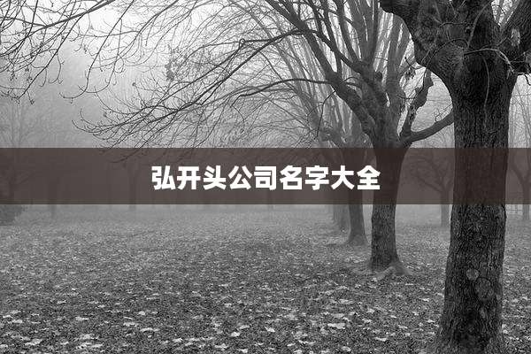 弘开头公司名字大全