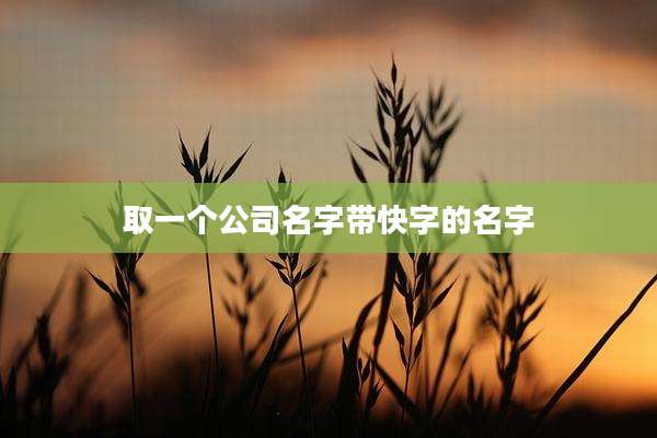 取一个公司名字带快字的名字
