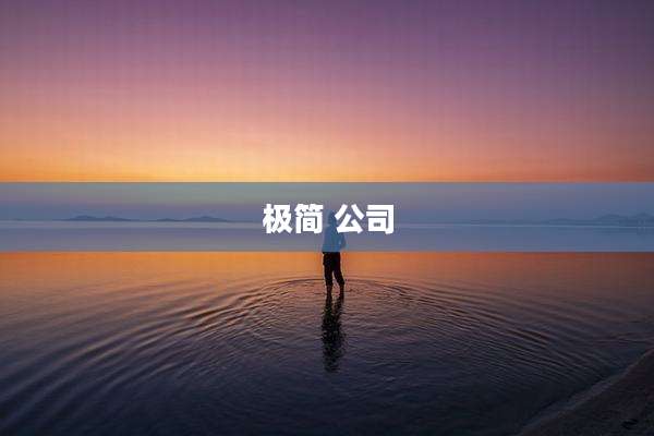 极简 公司