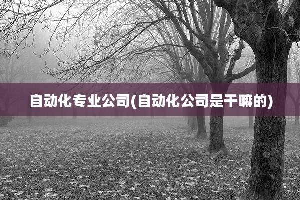 自动化专业公司(自动化公司是干嘛的)