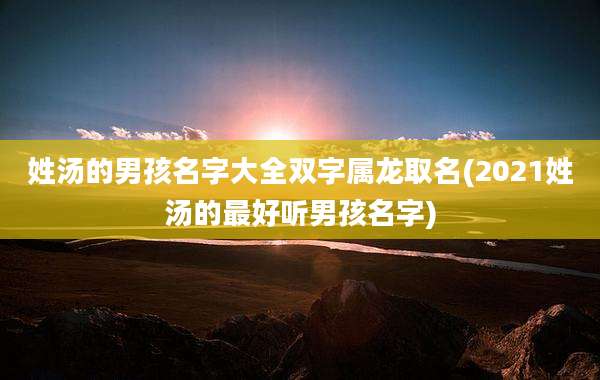 姓汤的男孩名字大全双字属龙取名(2021姓汤的最好听男孩名字)