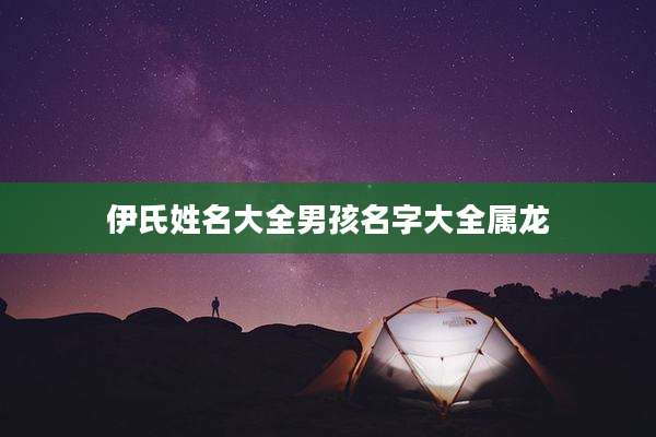 伊氏姓名大全男孩名字大全属龙