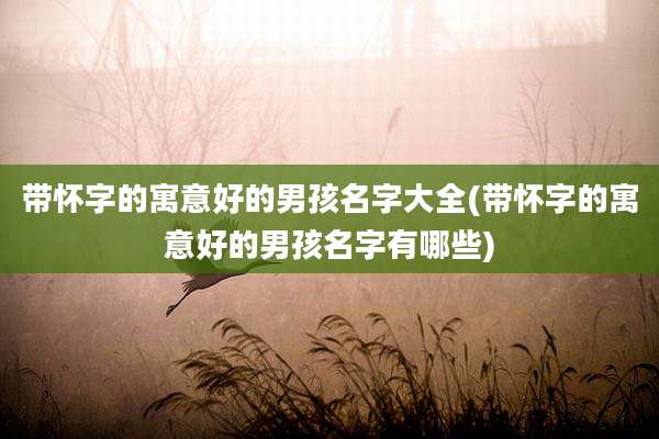 带怀字的寓意好的男孩名字大全(带怀字的寓意好的男孩名字有哪些)