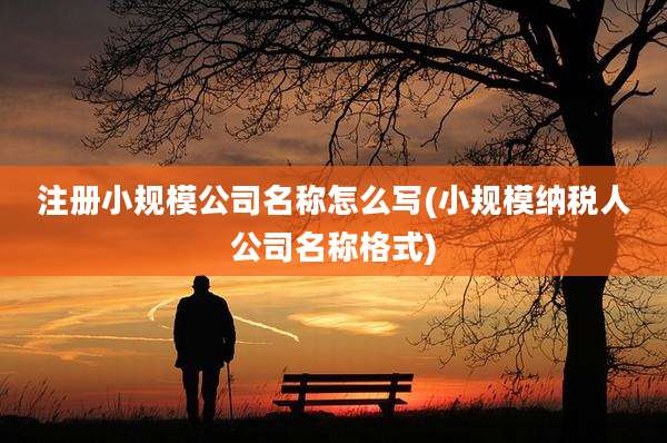 注册小规模公司名称怎么写(小规模纳税人公司名称格式)