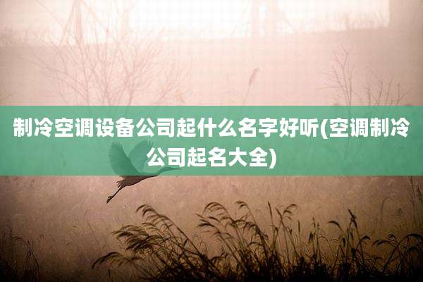 制冷空调设备公司起什么名字好听(空调制冷公司起名大全)