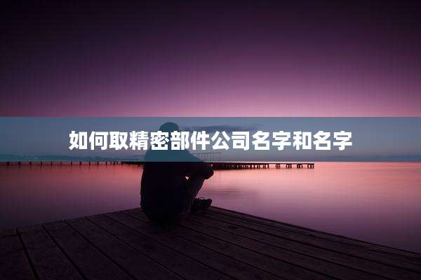 如何取精密部件公司名字和名字