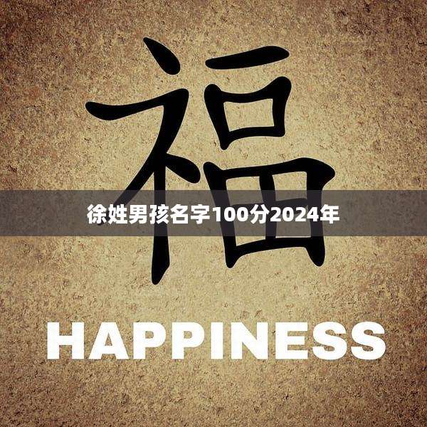 徐姓男孩名字100分2024年