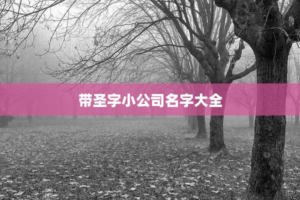带圣字小公司名字大全
