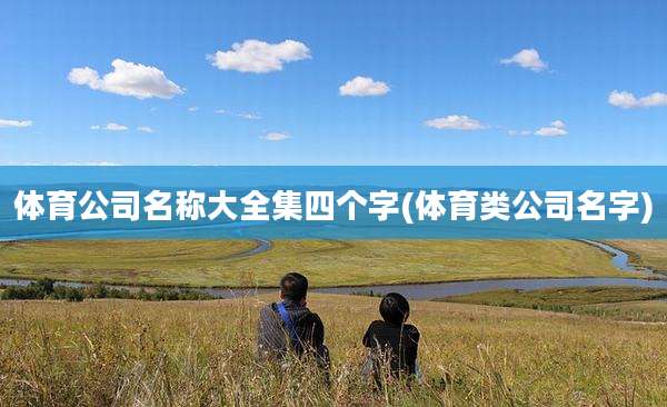 体育公司名称大全集四个字(体育类公司名字)