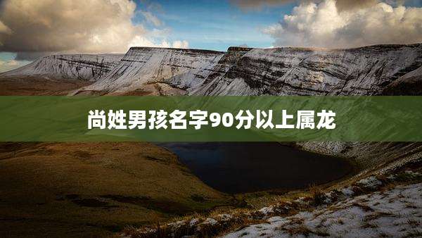 尚姓男孩名字90分以上属龙