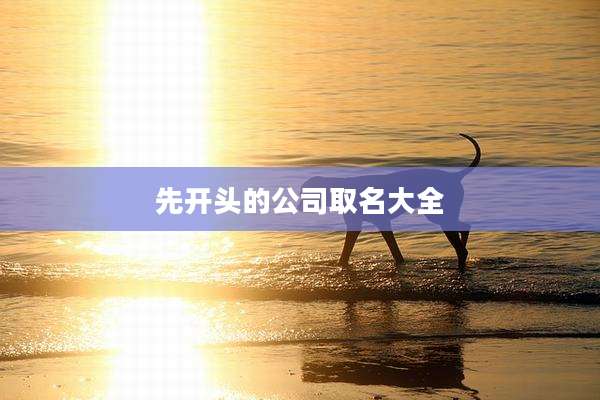 先开头的公司取名大全