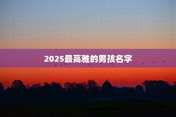 2025最高雅的男孩名字