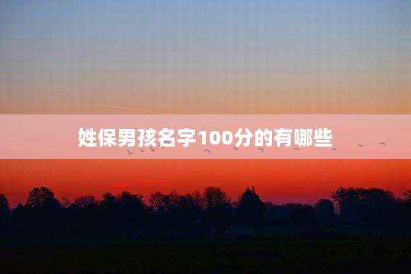 姓保男孩名字100分的有哪些