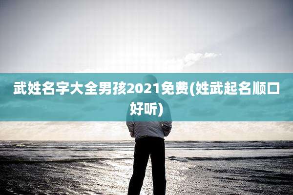 武姓名字大全男孩2021免费(姓武起名顺口好听)