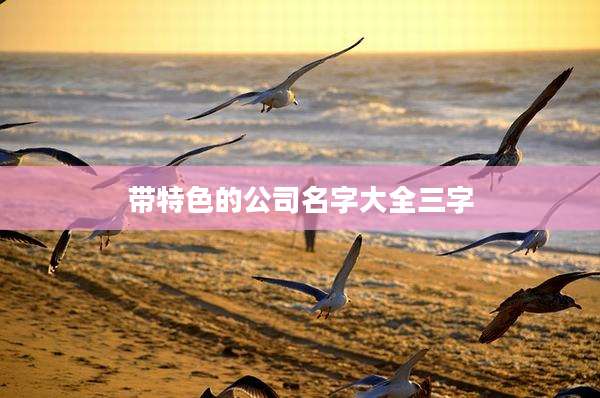 带特色的公司名字大全三字