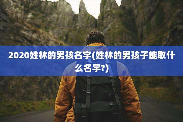 2020姓林的男孩名字(姓林的男孩子能取什么名字?)