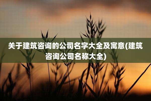 关于建筑咨询的公司名字大全及寓意(建筑咨询公司名称大全)