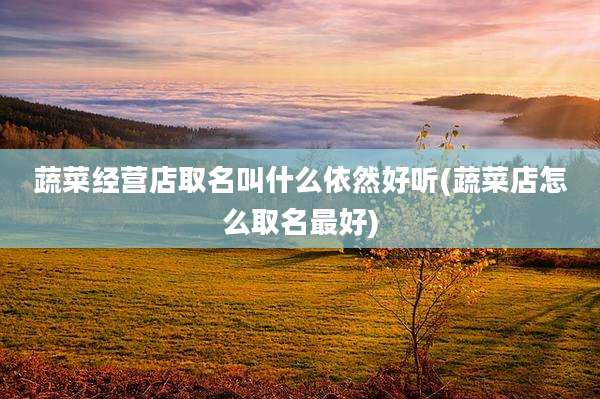 蔬菜经营店取名叫什么依然好听(蔬菜店怎么取名最好)