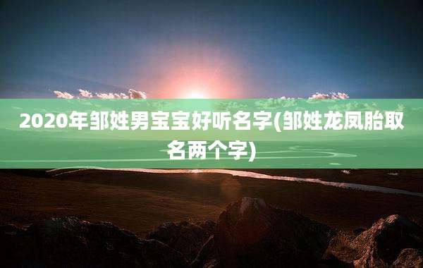 2020年邹姓男宝宝好听名字(邹姓龙凤胎取名两个字)