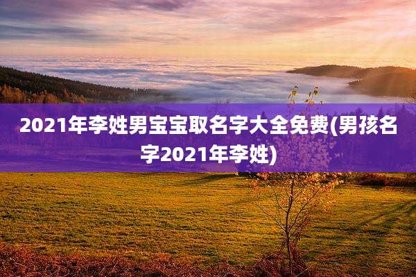 2021年李姓男宝宝取名字大全免费(男孩名字2021年李姓)