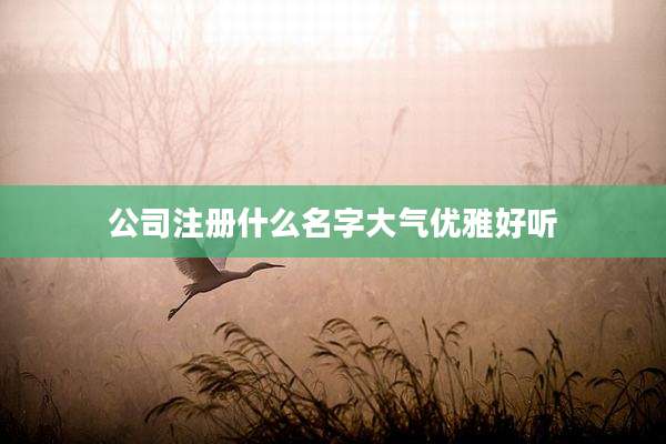公司注册什么名字大气优雅好听