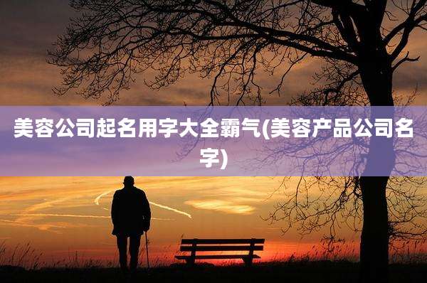 美容公司起名用字大全霸气(美容产品公司名字)