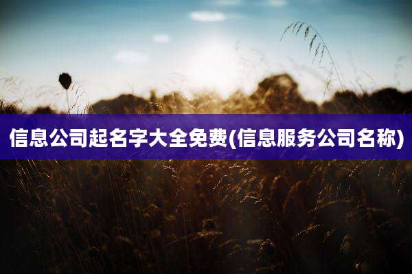 信息公司起名字大全免费(信息服务公司名称)