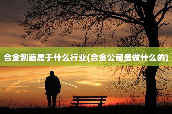合金制造属于什么行业(合金公司是做什么的)
