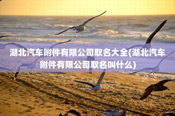 湖北汽车附件有限公司取名大全(湖北汽车附件有限公司取名叫什么)