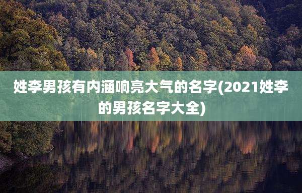 姓李男孩有内涵响亮大气的名字(2021姓李的男孩名字大全)