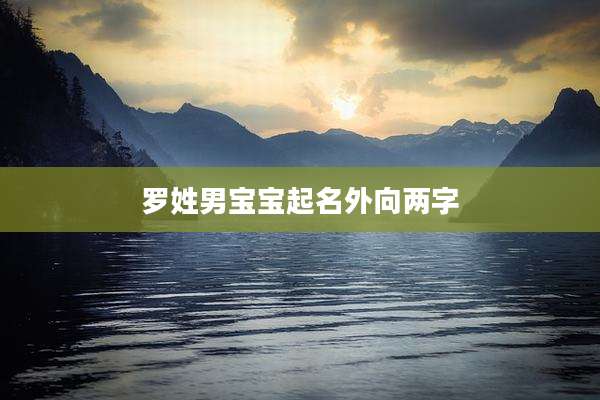 罗姓男宝宝起名外向两字