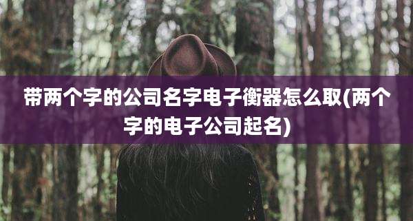 带两个字的公司名字电子衡器怎么取(两个字的电子公司起名)