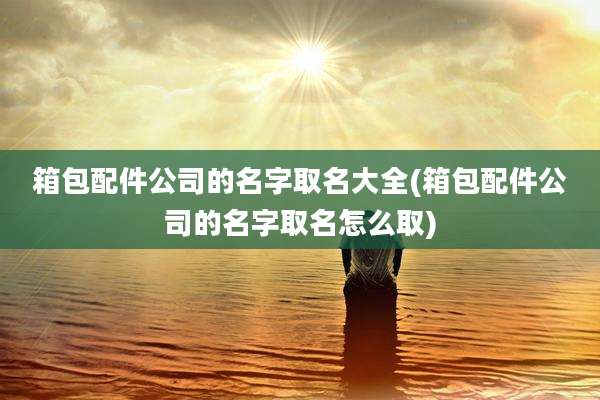 箱包配件公司的名字取名大全(箱包配件公司的名字取名怎么取)