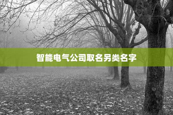 智能电气公司取名另类名字