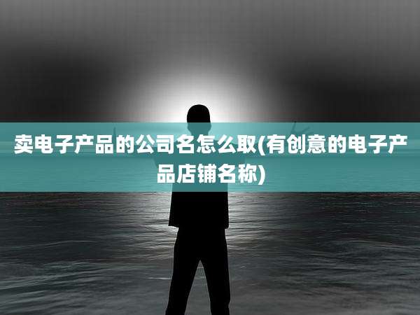 卖电子产品的公司名怎么取(有创意的电子产品店铺名称)