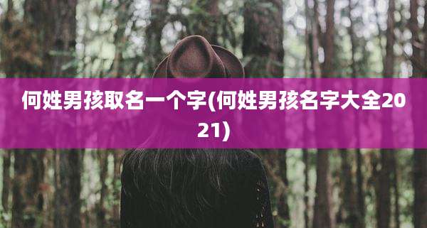 何姓男孩取名一个字(何姓男孩名字大全2021)