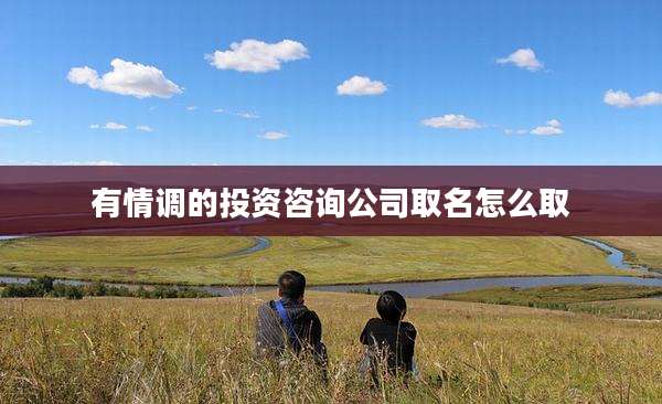 有情调的投资咨询公司取名怎么取