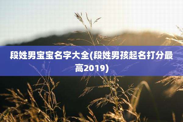 段姓男宝宝名字大全(段姓男孩起名打分最高2019)