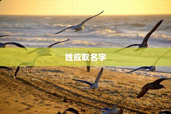 姓应取名字