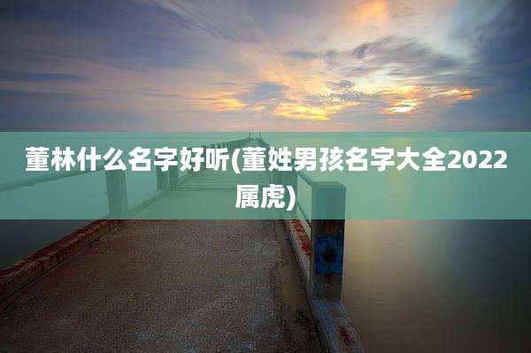 董林什么名字好听(董姓男孩名字大全2022属虎)